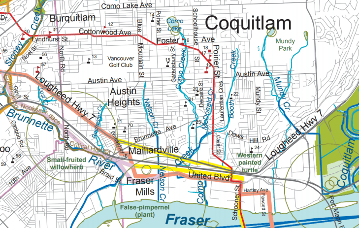 23135004_10159430827490034_1972549689_o